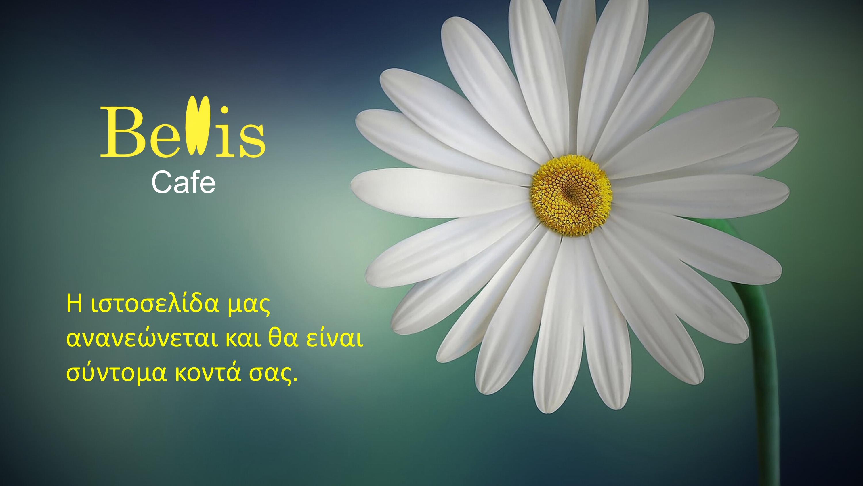BellisCafe